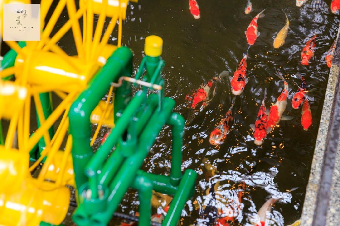 Asahi Villa Tam Coc Ninh Binh Eksteriør bilde